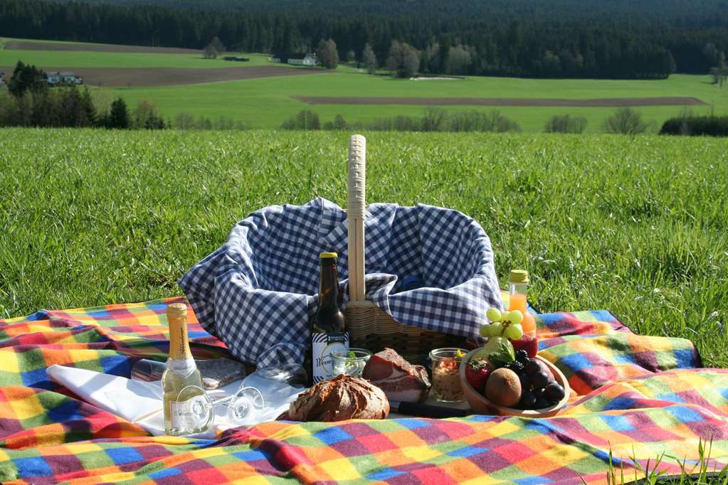 Falkensteiner Hotel Bad Leonfelden Superior (Adults Only) وسائل الراحة الصورة
